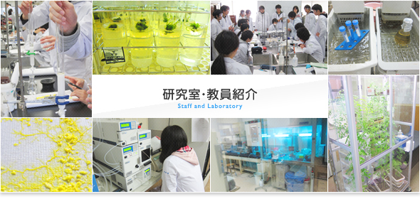 研究室・教員紹介